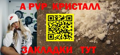 спиды Кунгур